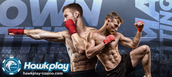 Online Sports Betting MMA 2