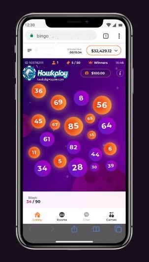 Bingo Blast – Isang Napakahusay na Pagsabog ng Lottery 2 Hawkplay
