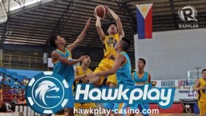 Pambansang Basketball Hawkplay