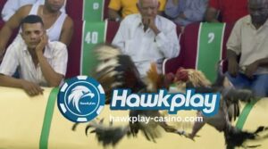 Legalidad ng Sabong sa Dominican Republic Hawkplay