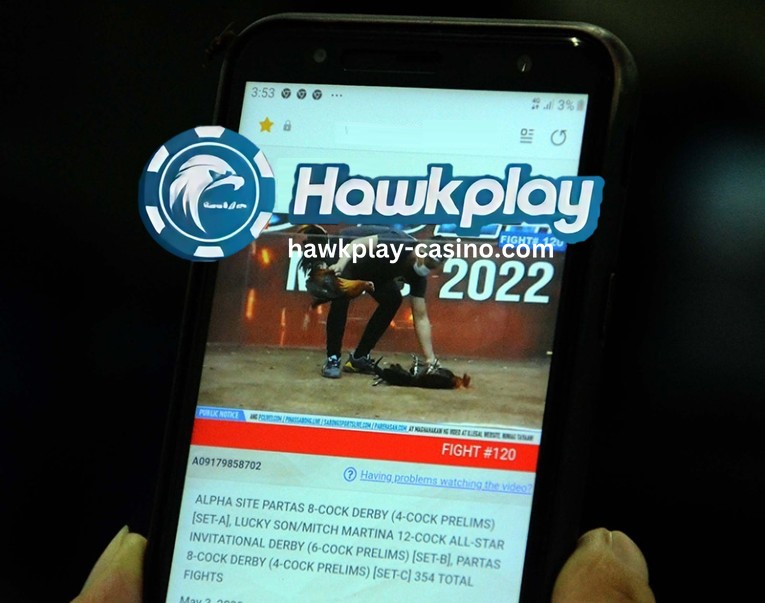 Paano Tumaya sa Online Sabong Hawkplay