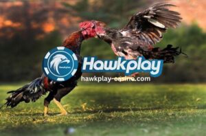 Pangkalagatang Tuntunin sa Sabong Hawkplay